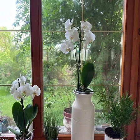 éden Panzio Appart hôtel 4*