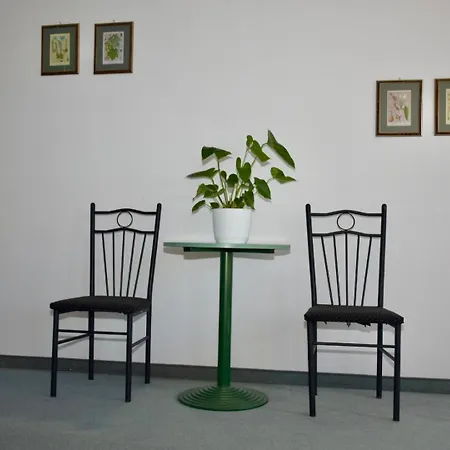 Hotel apartamentowy Eden Panzio Bük